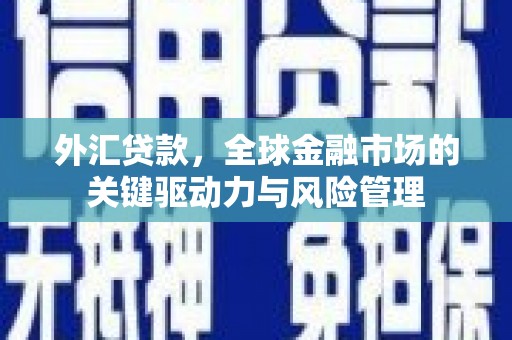 新洲外汇贷款，全球金融市场的关键驱动力与风险管理