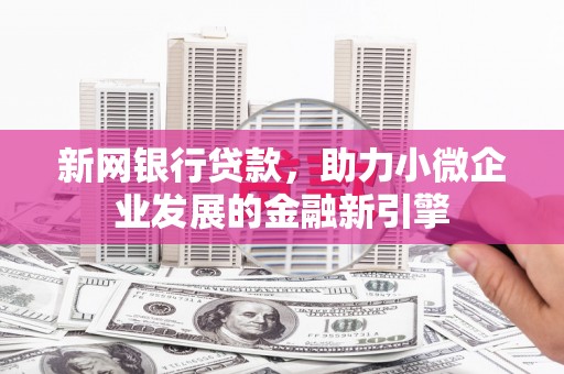 新洲新网银行贷款，助力小微企业发展的金融新引擎