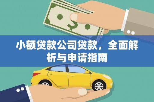 新洲小额贷款公司贷款，全面解析与申请指南