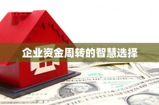 新洲企业资金周转的智慧选择