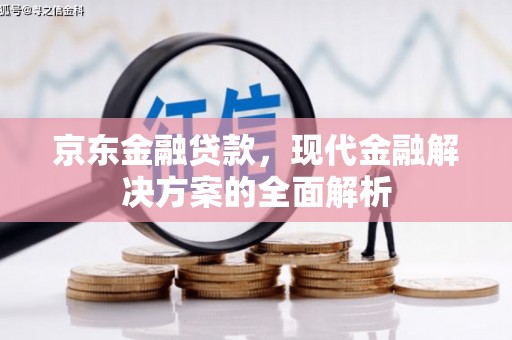 新洲京东金融贷款，现代金融解决方案的全面解析