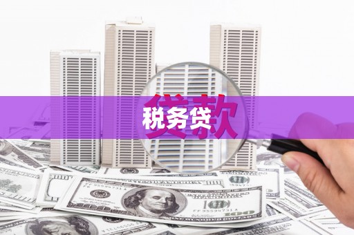 新洲税务贷
