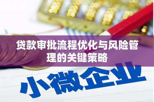 新洲贷款审批流程优化与风险管理的关键策略