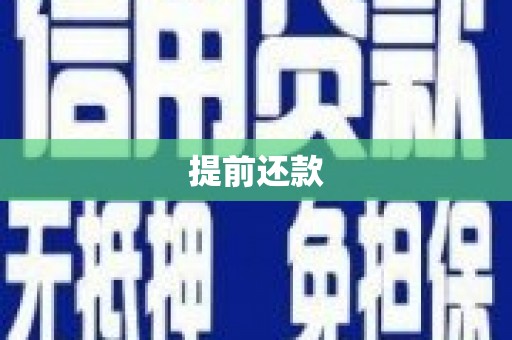 新洲提前还款