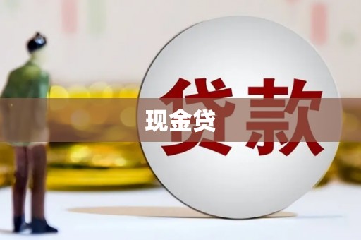 新洲现金贷