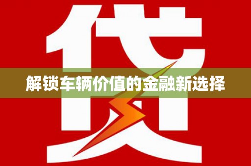 新洲解锁车辆价值的金融新选择