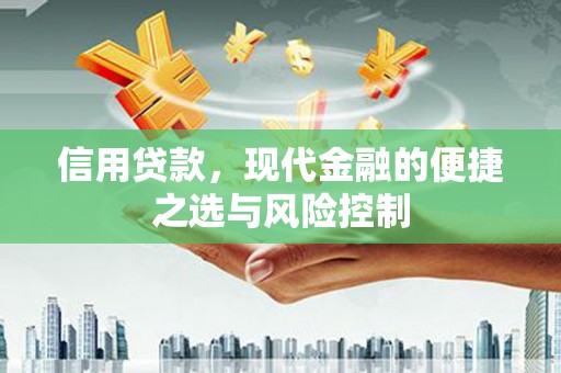 新洲信用贷款，现代金融的便捷之选与风险控制