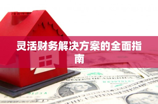 新洲灵活财务解决方案的全面指南