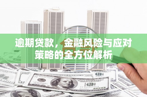 新洲逾期贷款，金融风险与应对策略的全方位解析