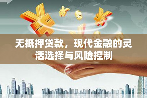 新洲无抵押贷款，现代金融的灵活选择与风险控制