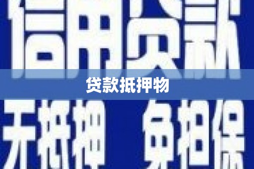 新洲贷款抵押物