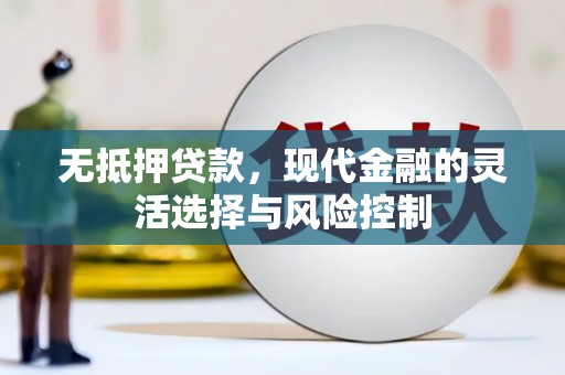 新洲无抵押贷款，现代金融的灵活选择与风险控制
