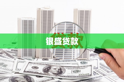 新洲银盛贷款