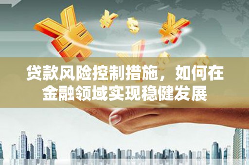 新洲贷款风险控制措施，如何在金融领域实现稳健发展