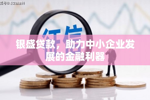 新洲银盛贷款，助力中小企业发展的金融利器
