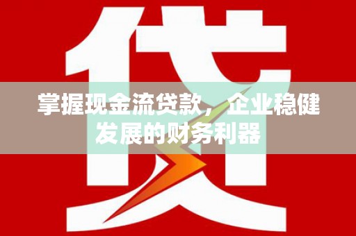 新洲掌握现金流贷款，企业稳健发展的财务利器