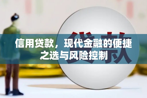 新洲信用贷款，现代金融的便捷之选与风险控制