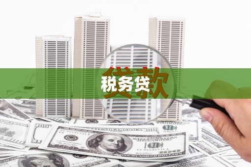 新洲税务贷