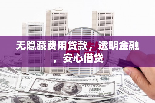 新洲无隐藏费用贷款，透明金融，安心借贷