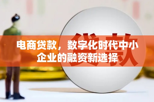 新洲电商贷款，数字化时代中小企业的融资新选择