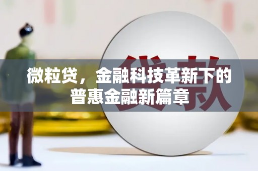 新洲微粒贷，金融科技革新下的普惠金融新篇章