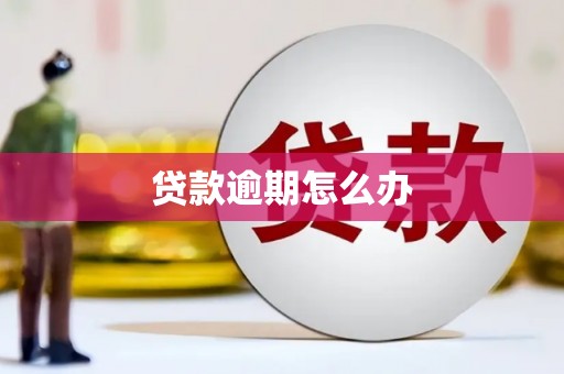 新洲贷款逾期怎么办