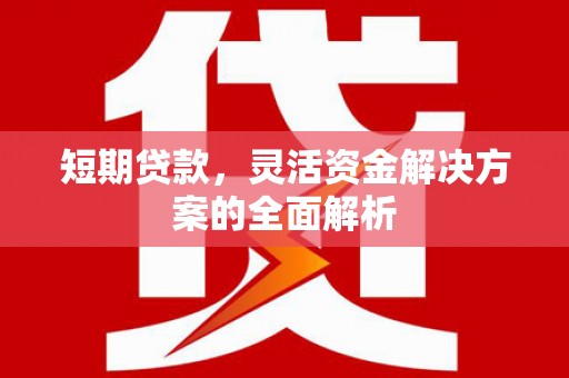 新洲短期贷款，灵活资金解决方案的全面解析