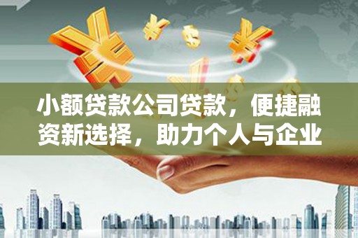 新洲小额贷款公司贷款，便捷融资新选择，助力个人与企业成长