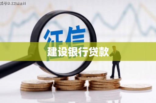 新洲建设银行贷款
