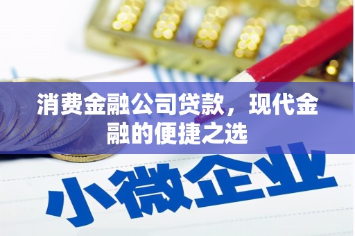 新洲消费金融公司贷款，现代金融的便捷之选