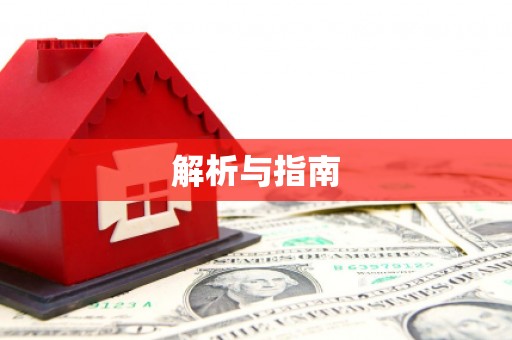 新洲解析与指南