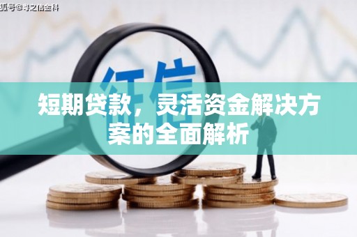 新洲短期贷款，灵活资金解决方案的全面解析