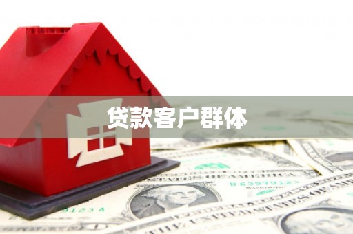 新洲贷款客户群体