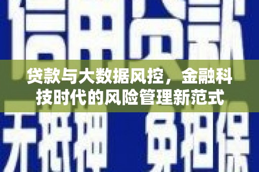 新洲贷款与大数据风控，金融科技时代的风险管理新范式