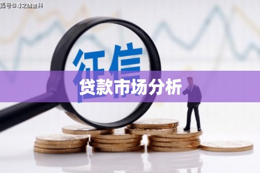 新洲贷款市场分析