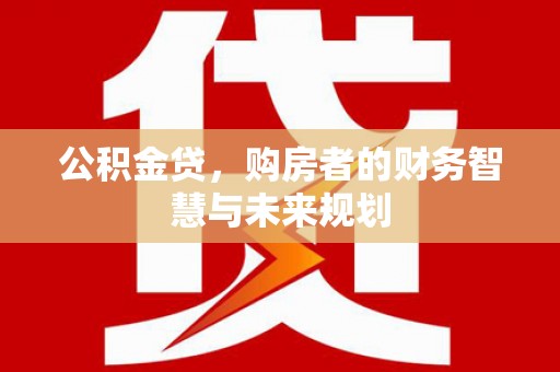 新洲公积金贷，购房者的财务智慧与未来规划