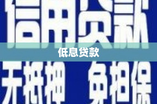 新洲低息贷款