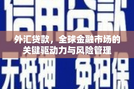 新洲外汇贷款，全球金融市场的关键驱动力与风险管理