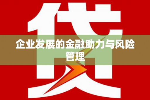 新洲企业发展的金融助力与风险管理