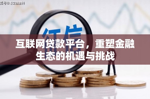 新洲互联网贷款平台，重塑金融生态的机遇与挑战