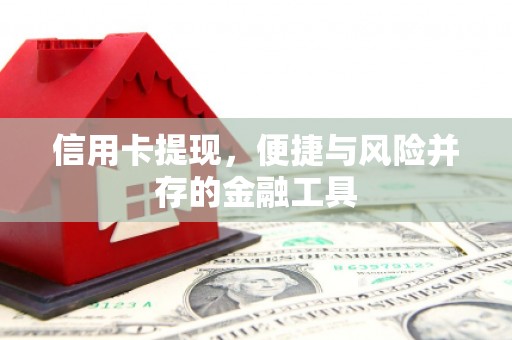 新洲信用卡提现，便捷与风险并存的金融工具