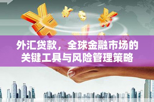新洲外汇贷款，全球金融市场的关键工具与风险管理策略