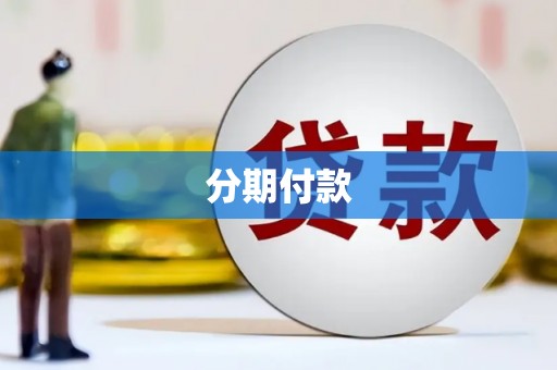 新洲分期付款