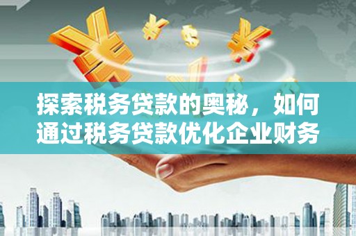 新洲探索税务贷款的奥秘，如何通过税务贷款优化企业财务