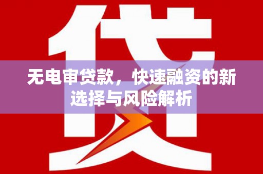 新洲无电审贷款，快速融资的新选择与风险解析