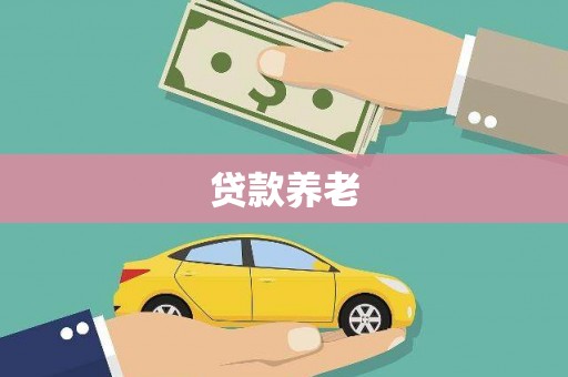 新洲贷款养老