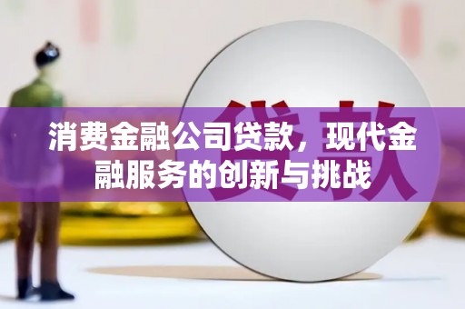 新洲消费金融公司贷款，现代金融服务的创新与挑战