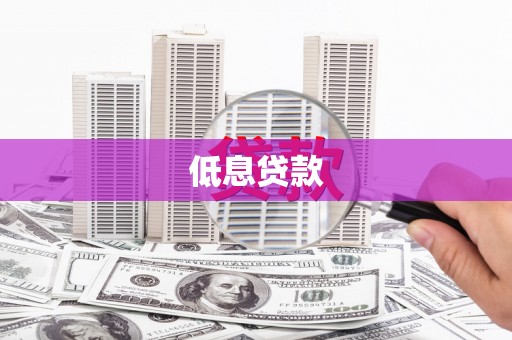 新洲低息贷款