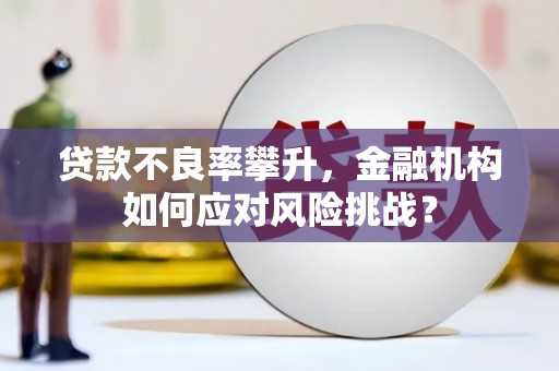 新洲贷款不良率攀升，金融机构如何应对风险挑战？