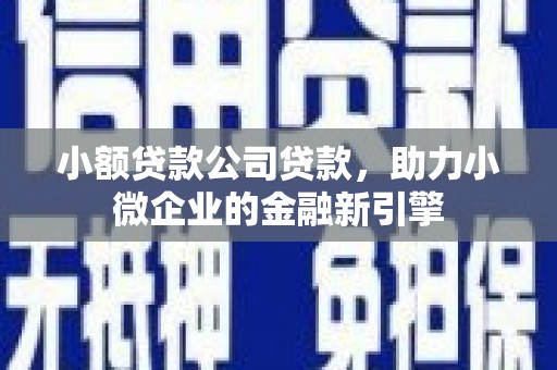 新洲小额贷款公司贷款，助力小微企业的金融新引擎